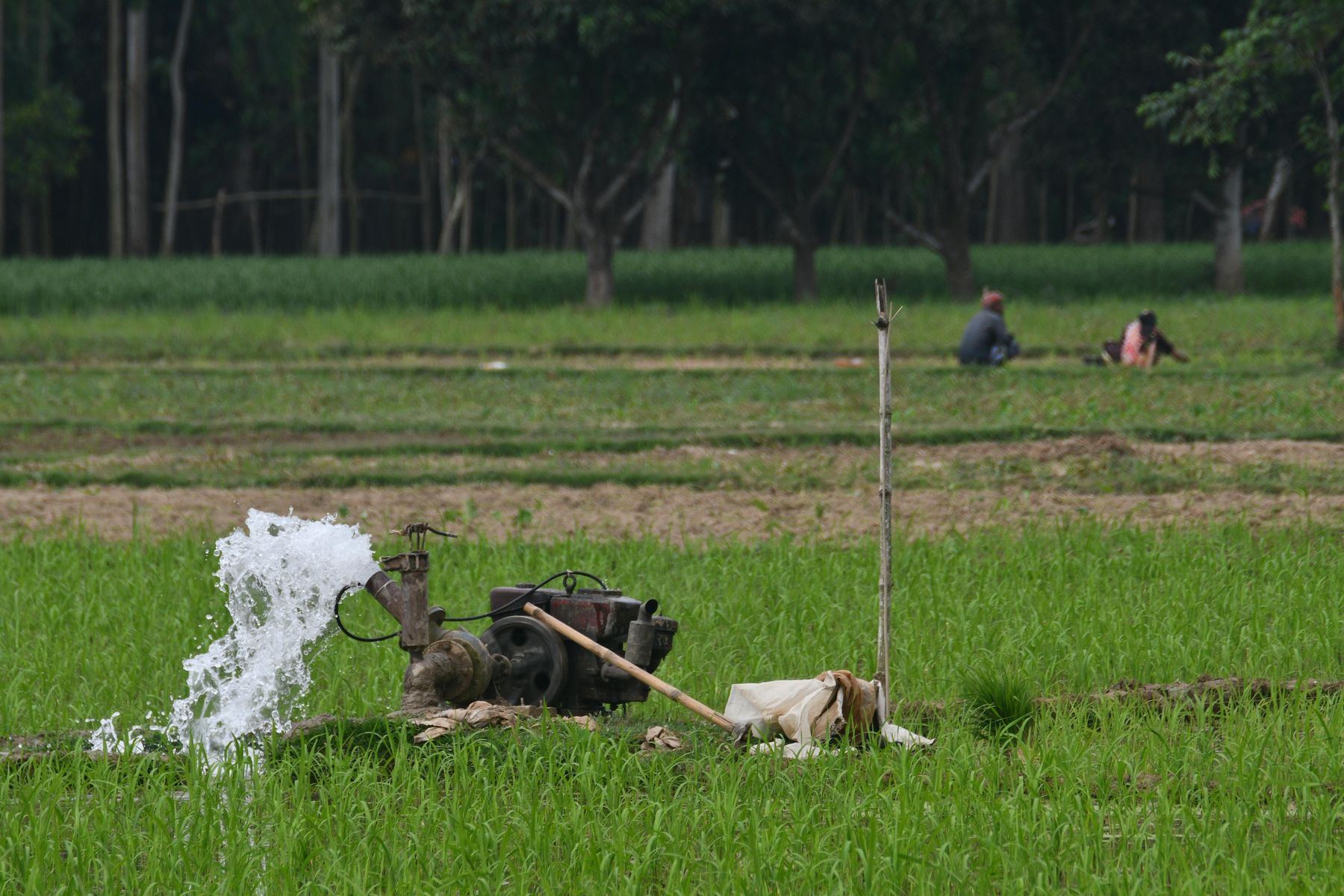 Groundwater monitoring and water supply protection work
